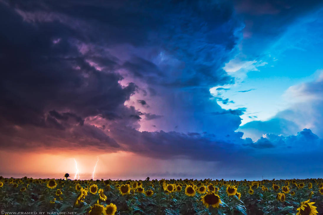 September 9th by FramedByNature