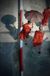sunny days of burma by burkinafazo