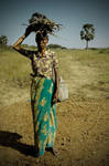 bush women by burkinafazo