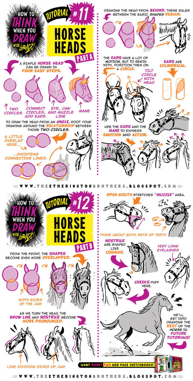 How to draw HORSES + HORSE HEADS tutorial by STUDIOBLINKTWICE