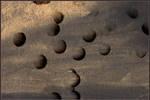 Dust by martaraff