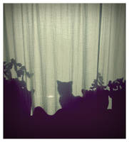 lil' flower by oOpurple--coffeeOo