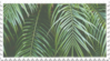 green plant aesthetic stamp 1 by GlacierVapour
