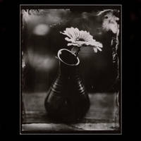 wet plate #1 by czarnobialykwadrat