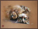 Cat in pastel by CamillaMalcus