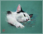Sleepy Cat by CamillaMalcus