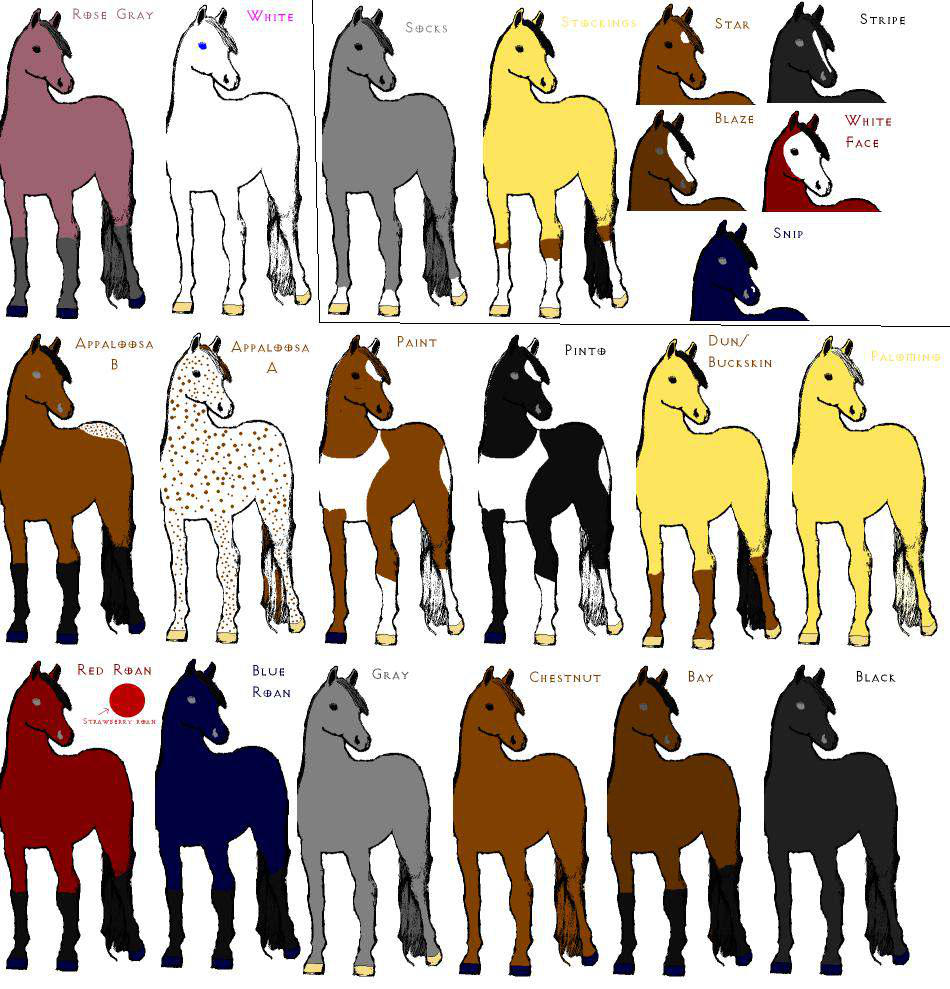 Horse Colors + Markings by tenshichild on DeviantArt
