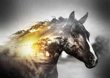 The light within by katmary