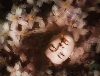 The end of summer (beauty) by katmary