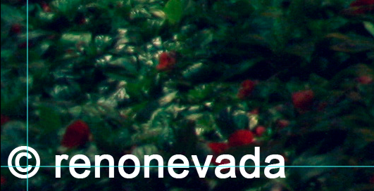 Screen Shot 2013-07-26 at 4.51.07 PM by renonevada Screen Shot 2013-07-26 at 4.51.07 PM by renonevada