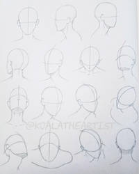 Head Angles Part. 1 by KoalaTheArtist