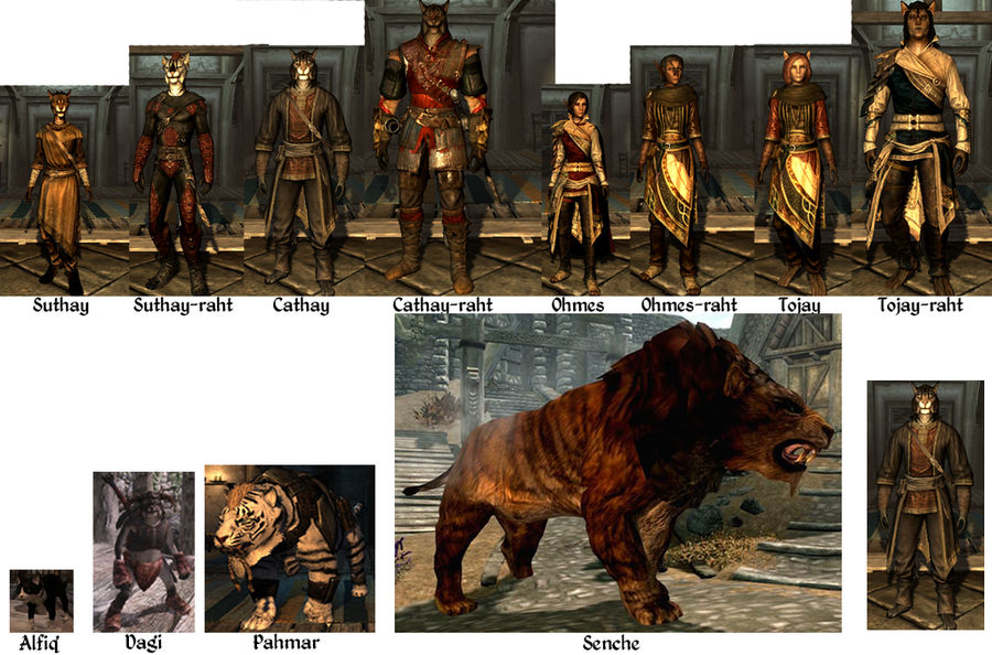 Bipedal and Quadruped Khajiit Form Interpretations by AedricDaedra