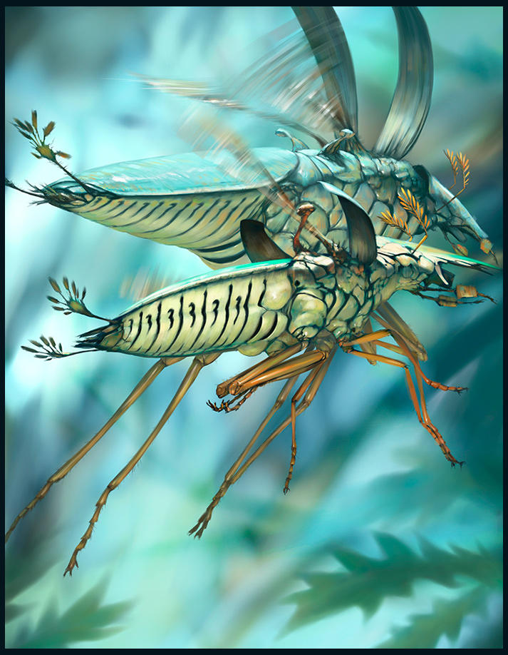 Salsa Invertebraxa - Flight by m0zch0ps