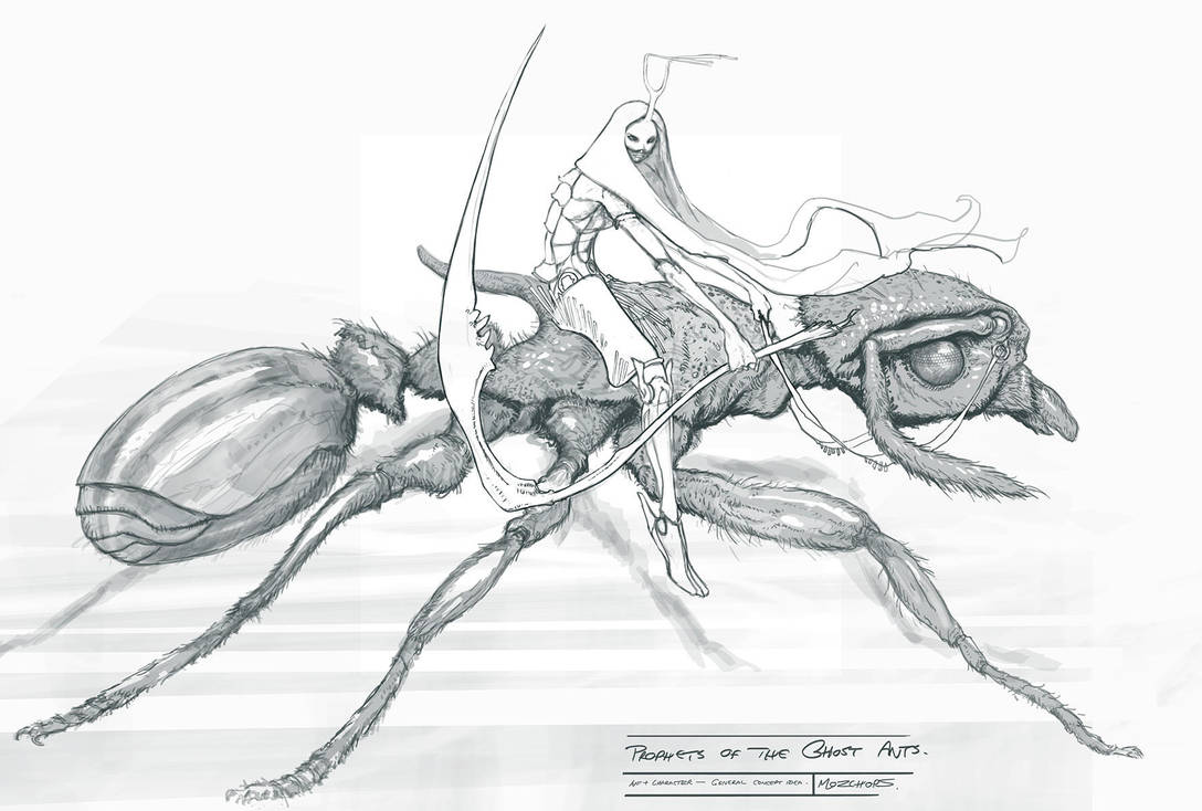 Female Warrior on Ant by m0zch0ps Female Warrior on Ant by m0zch0ps