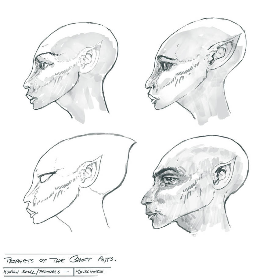 Face-shapes-01 by m0zch0ps Face-shapes-01 by m0zch0ps