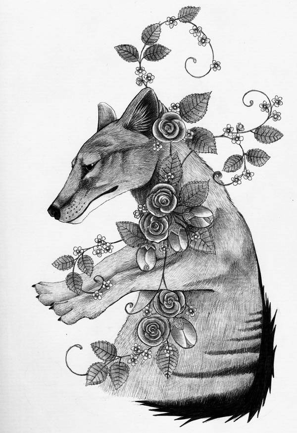 Thylacine by Ravenari