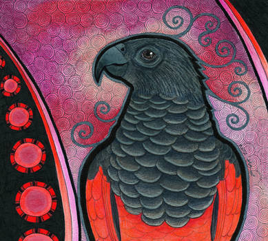 Pesquet's Parrot as Totem by Ravenari