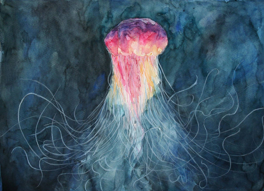 Jellyfish II by lenischoen