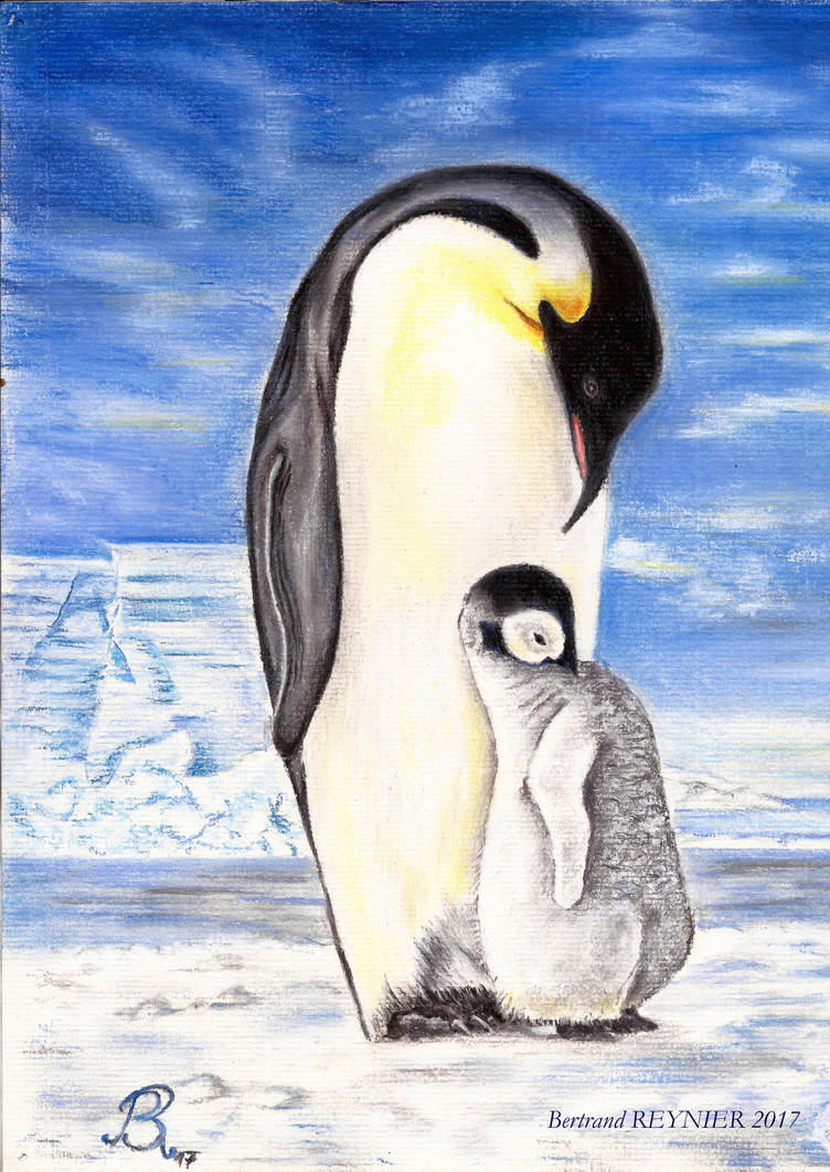 Penguin Father and his Baby 23 x 32 (2017) by Reybert on DeviantArt