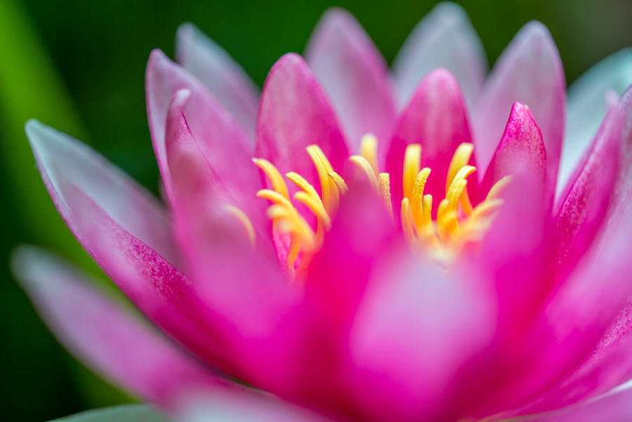 Inner Peace by roarbinson Inner Peace by roarbinson
