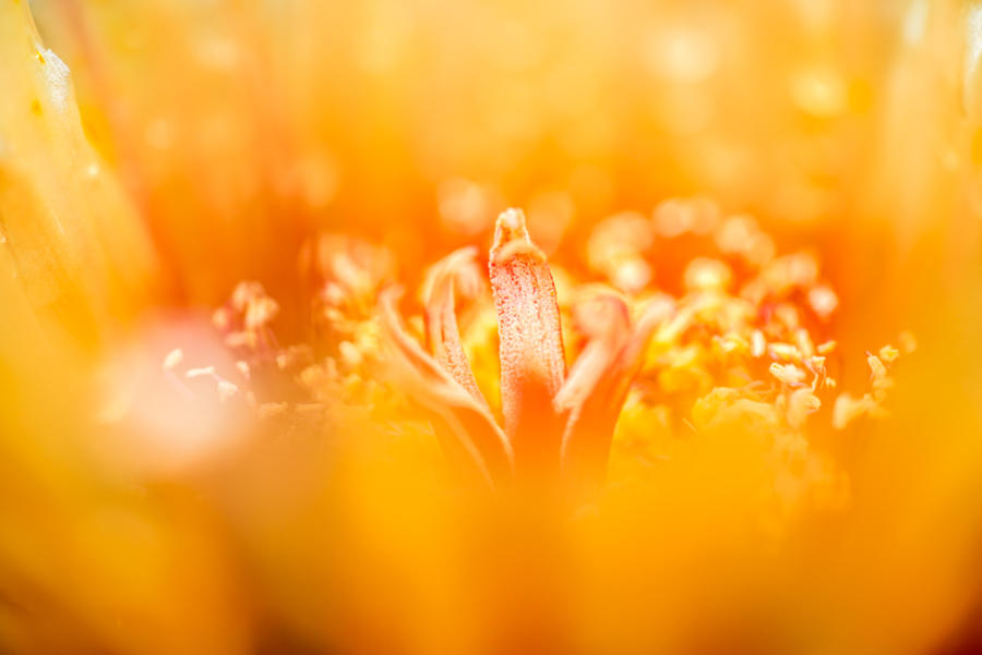 Untitled by roarbinson Untitled by roarbinson