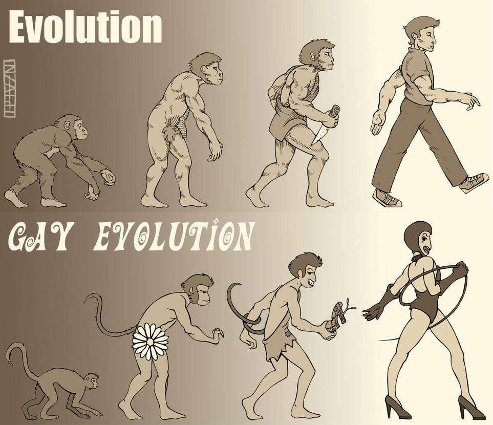 Evolution of gay Transvestite south club