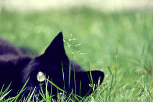 days are just.. by ValidRose