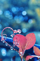 This is Love. by MellyBaldin