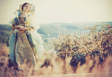 Pani Walewska by MariannaInsomnia