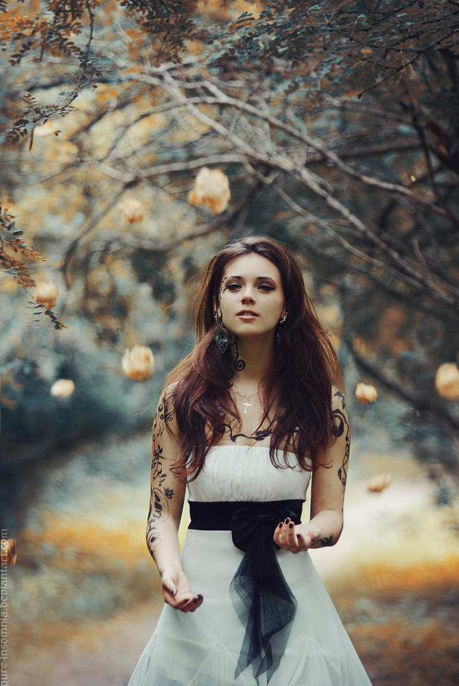 Roses by MariannaInsomnia