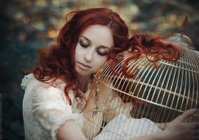 The Birds Have Flown by MariannaInsomnia