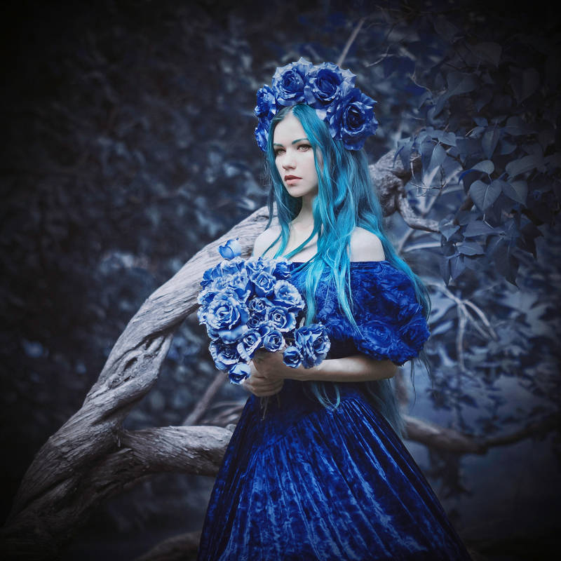 Blue Roses by MariannaInsomnia