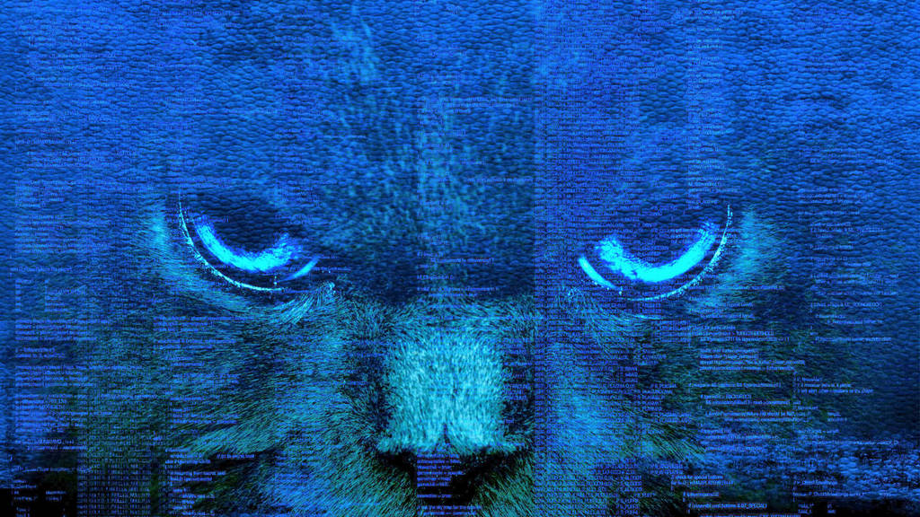 Black Cat Blue Eyes Desktop Wallpaper By D4rknik0l4s On Deviantart