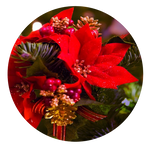 Red Poinsettia by AnniverseStash
