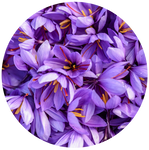 Saffron by AnniverseStash