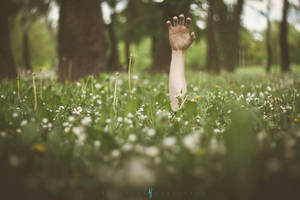 I am the resurrection and the life by Q-harrr I am the resurrection and the life by Q-harrr