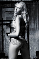 The Farm Fifth by SpeedFlash