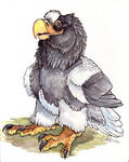 Steller's Sea Eagle by caramitten