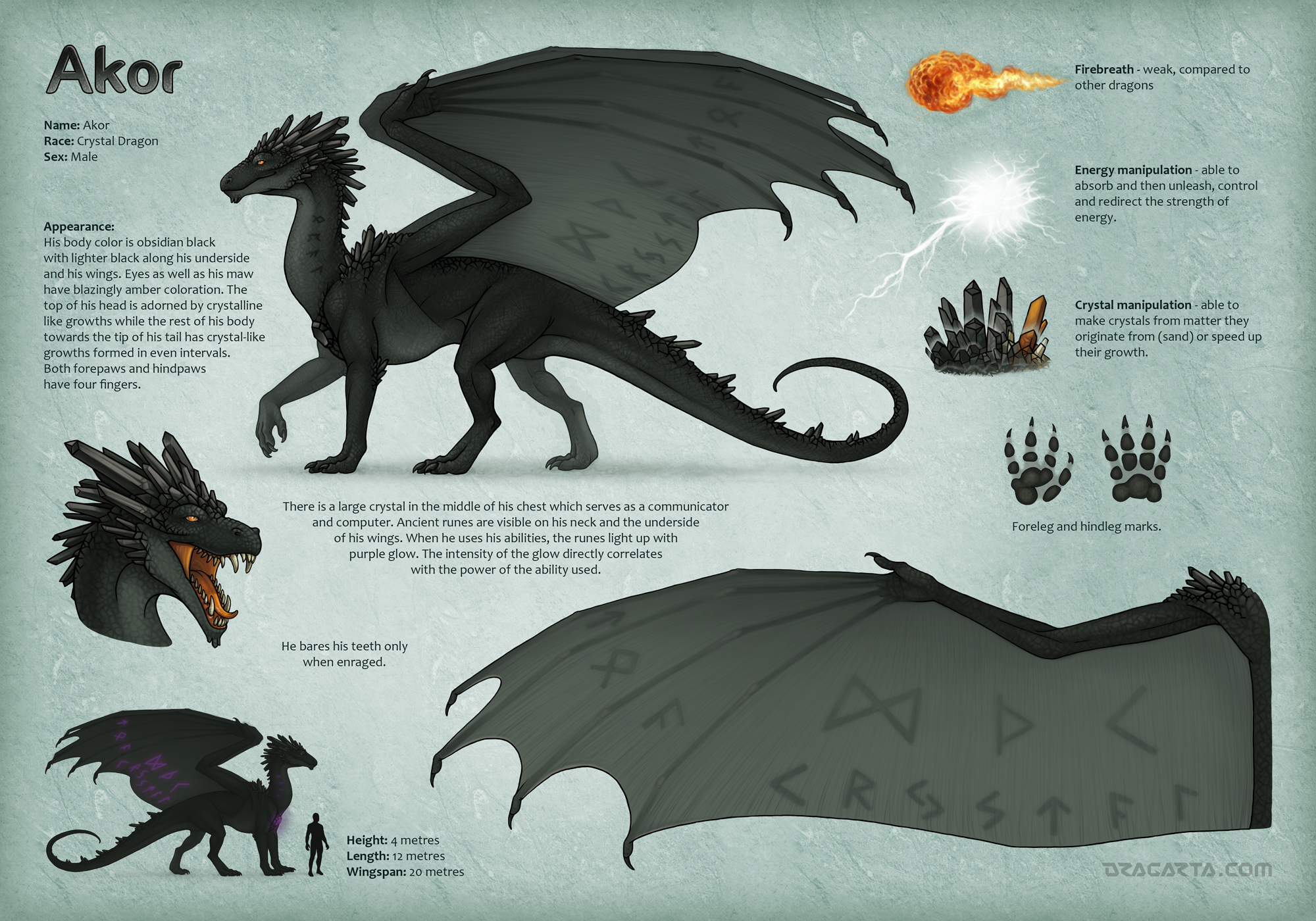 Character sheet for Akor by Dragarta