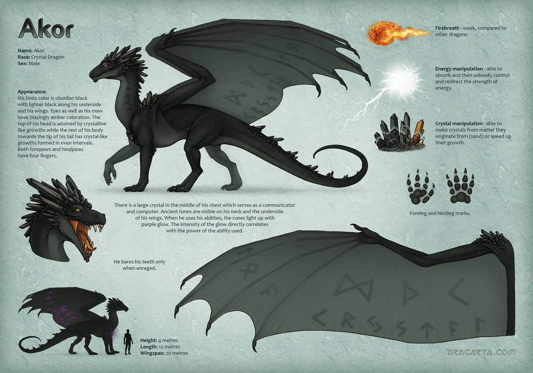 Character sheet for Akor by Dragarta