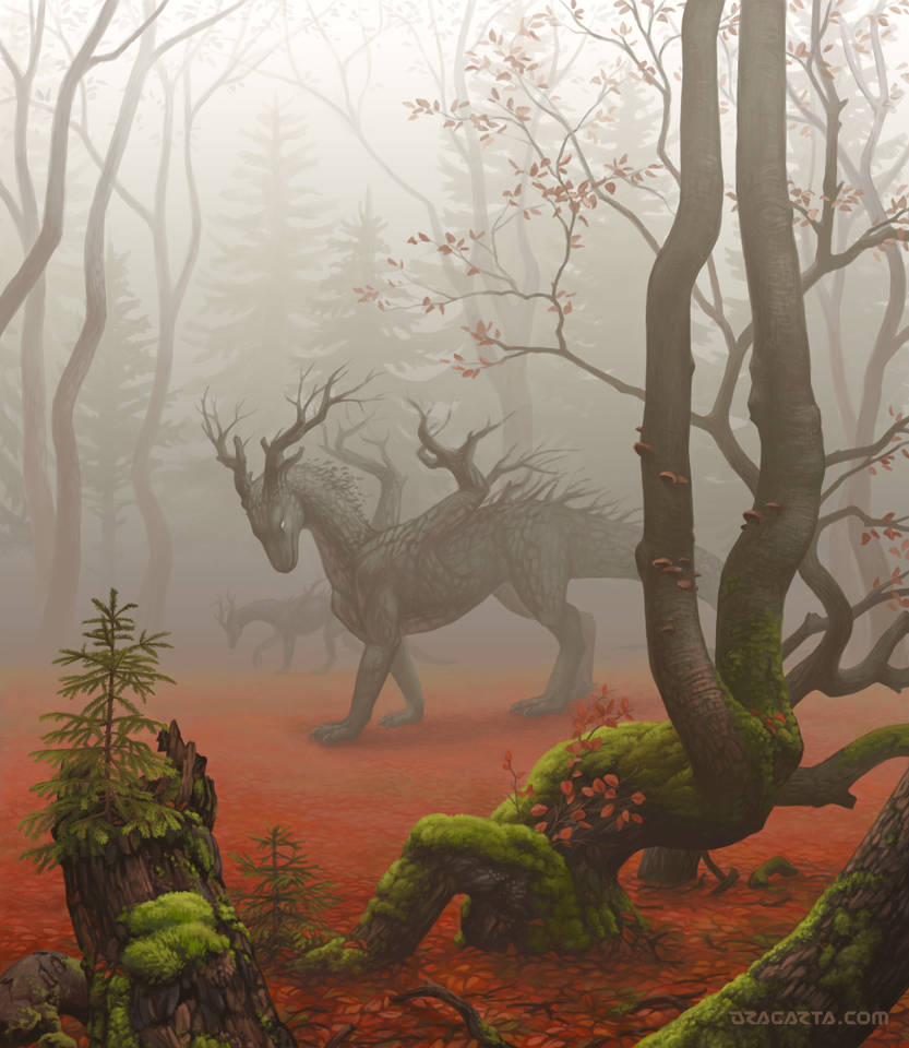 Mysterious Forest by Dragarta