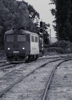 Moving from place to place by sonya-pop