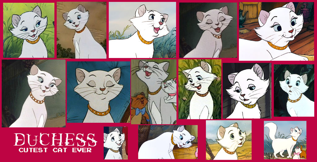 duchess-from-aristocats-collage-by-scamp4553-on-deviantart