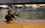 Bath Time by XS-Tarsier