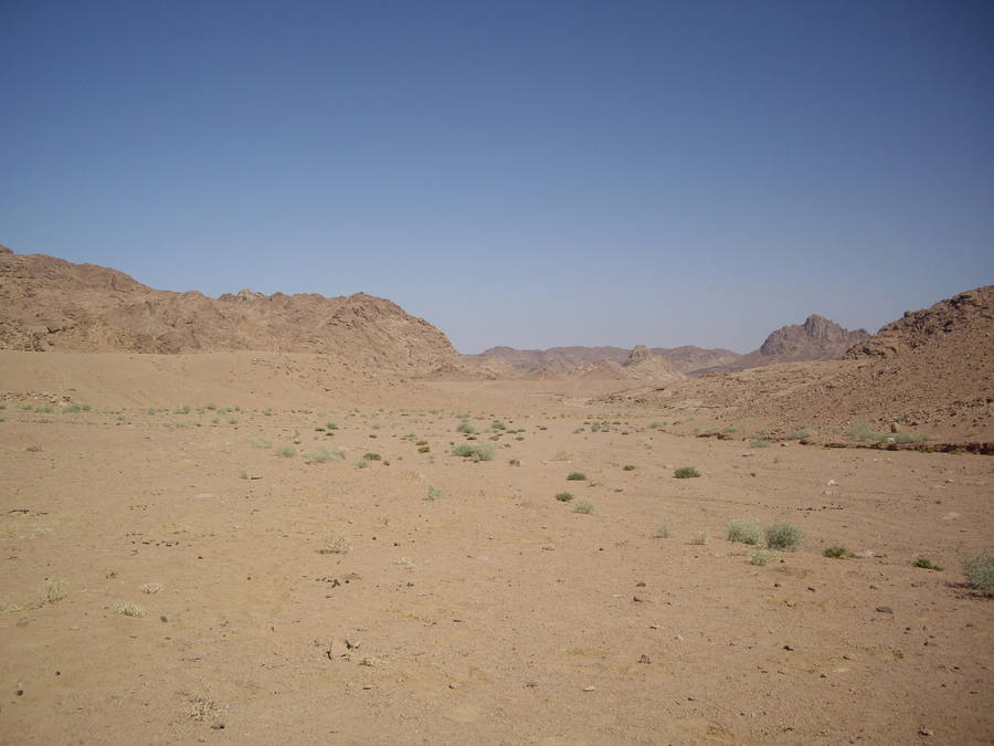 desert background stock 15 by HumbleBeez
