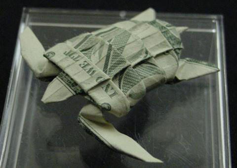 One Dollar Sea Turtle by orudorumagi11