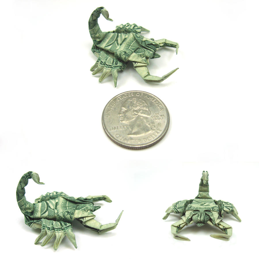 New pics. Dollar Scorpion by orudorumagi11