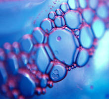 echo by photographybyfallon