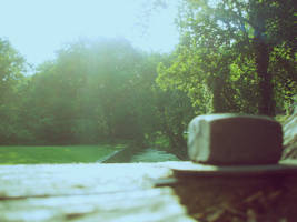 From a Spider by write-it-in-the-sky