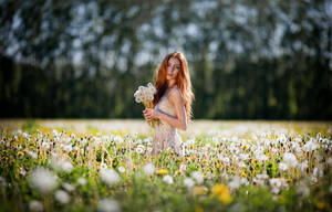 spring by kargapolovR